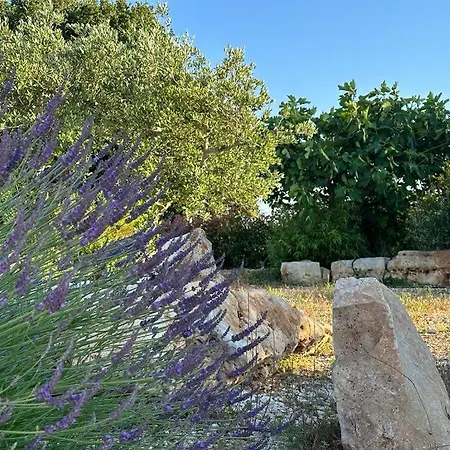 Trullo Cuore Di Pietra *